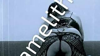 pamelithatv travesti de closet