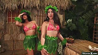 Two Hot Shemales to Fuck!