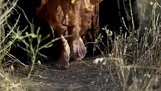 I, As King, Fuck Her Pussy Hard In This Fantasy Cosplay.