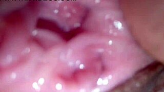 Creampie In Tight Shaved Pussy Of Sexy Thai Woman!