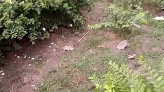 Housewife Porn Video in Flower Garden