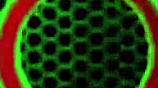 The Italian Rome Major Pounds Big Tits Alexis Golden While She Devours Sa Jays Cougar Pussy With Orgasm