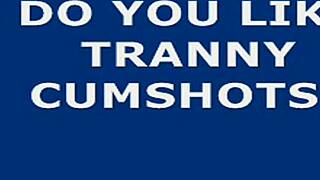 Shemale webcam session builds to hot cumshot with big tits crossdressing ladyboy