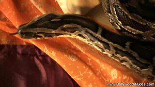 simple beauty is filmed dancing and undressing in india