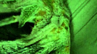 breed whore says, 'fuck me and fill me with cum'