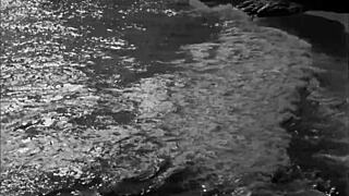 Exploring Vintage Erotic Art Featuring Antique Beaver And Hairy Pussy Scenes