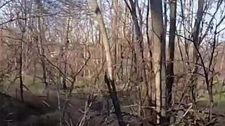 Let's plan a shopping trip together and I'll be super grateful afterward