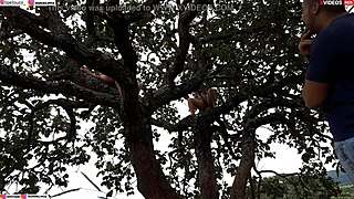 Enfiei A Piroca Na Loira E Na Morena Em Cima Da Arvore No Meio Da Rua Assista Ao Video Completo Xvideos Red Emi Rippi