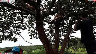 Enfiei A Piroca Na Loira E Na Morena Em Cima Da Arvore No Meio Da Rua Assista Ao Video Completo Xvideos Red Emi Rippi