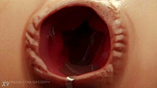 Large dildo showcased in detailed view