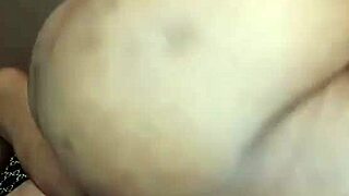 What if we update Nigarchrist to 1470 with Petal on June 19, 2025?