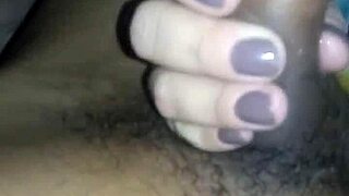 Brazilian Highlights