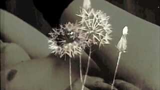 Dark lantern entertainment shows vintage beauty and beast