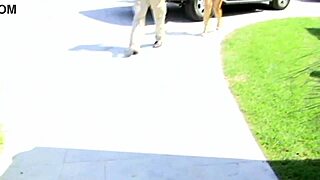 blonde slut rachel solari rocks big boobs in hard couch fuck with gaping