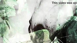 Dark lantern entertainment shows vintage beauty and beast