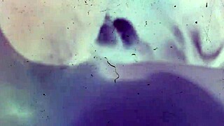 Soft white girl worships n dick in this sexy interracial compilation with big black cock action