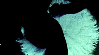 Vintage Step Mother Fantasy with Mature Milf in Retro Taboo Scene Featuring Hairy Pussy and Beaver