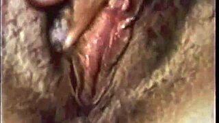 Vintage Step Mother Fantasy with Mature Milf in Retro Taboo Scene Featuring Hairy Pussy and Beaver