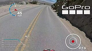 Whitney Handles Massive Cock in Doggystyle Action with Cumshot Finish