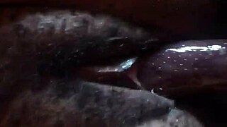 subtle hints of tight nigerian pussy in amateur homemade action.