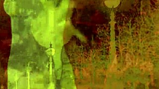 Vintage Erotic Art Showcases Hairy Beaver And Pussy