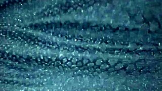 that big culote caught my eye in this homemade swingers video with amateurs and a wife joining the group fun