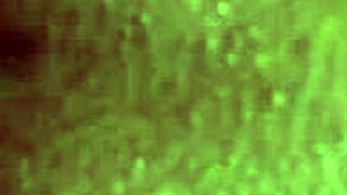 hey, check how black ebony step-sister seduces step-brother's big black cock best friend to fuck alone