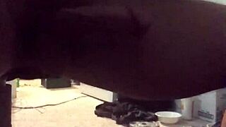 Teen 18+ boldly strokes huge monster cock solo to massive cumshot