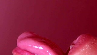 Japanese homestay experience