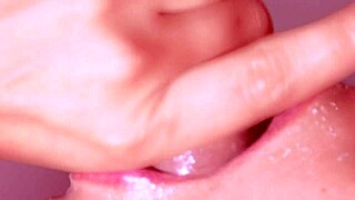 Japanese homestay experience