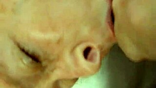 I'm watching my fat blonde wife take that big black cock in our live stream