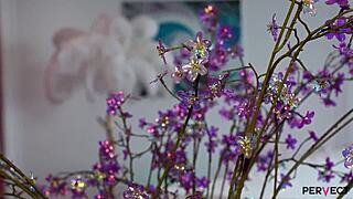 Pervect lisa wildlove bounces on italian cock in lingerie. Redhead masturbates with toys.