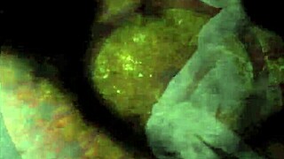 this vintage collection showcases antique cartoon art with retro erotic themes in a timeless style