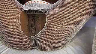 Blacked teen 18+ Wetpussynaija in hot lingerie slides huge BBC inside her wet pussy for doggystyle sex.