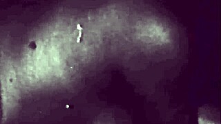 this vintage collection showcases antique cartoon art with retro erotic themes in a timeless style