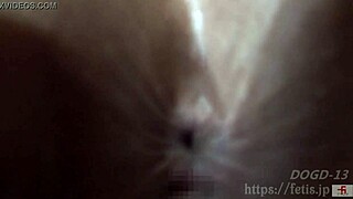 I explore japanese anal fetish with aya in dog sniffing erotic whip girl session featuring asshole focus