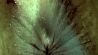 I explore japanese anal fetish with aya in dog sniffing erotic whip girl session featuring asshole focus