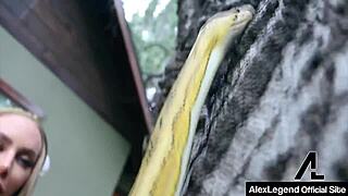 Watch Minotaur Legend Get Ridden Hard By Dominating Hottie Nicole Aniston!