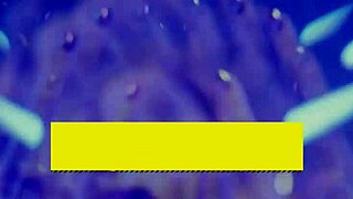 Brazzers - Kitana Montana Gets Both Holes Filled In A Steamy Dp With Quinton And Xander