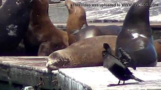 oh man, london keyes strips and shows big tits in this bts part 2