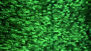 Time for some solo masturbation action?