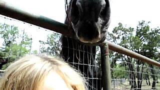 Hey check out fleshlight fun with girl Alexis Texas