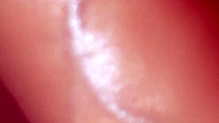 Japanese Creampie Close Up