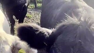 I am a country girl at heart, finding my peace in nature while soaking up the sun and embracing the calm.