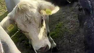 I am a country girl at heart, finding my peace in nature while soaking up the sun and embracing the calm.