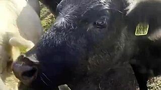 I am a country girl at heart, finding my peace in nature while soaking up the sun and embracing the calm.