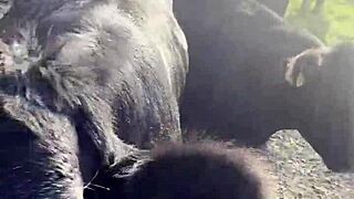 I am a country girl at heart, finding my peace in nature while soaking up the sun and embracing the calm.