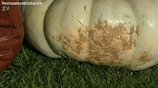 kiwi trashy milf sits on massive pumpkin as toilet seat in back yard