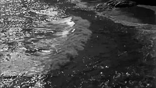 vintage erotic art showcases bold antique styles