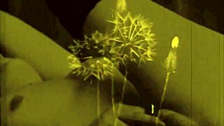 vintage erotic art showcases bold antique styles